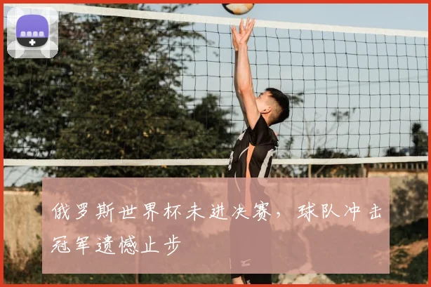 俄罗斯世界杯未进决赛,球队冲击冠军遗憾止步