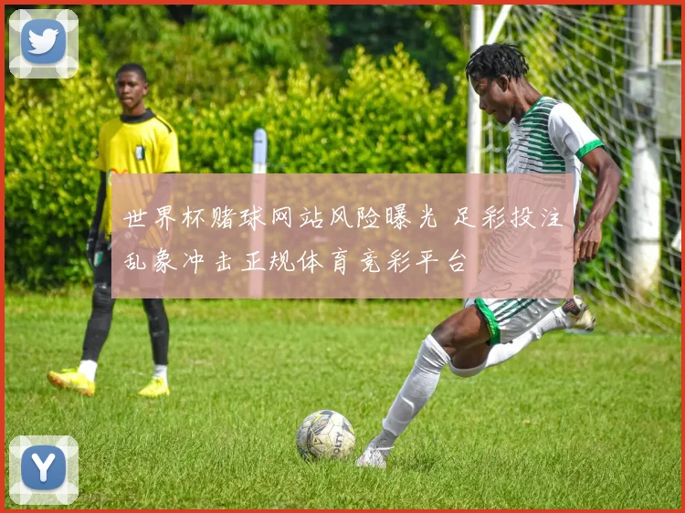 世界杯赌球网站风险曝光 足彩投注乱象冲击正规体育竞彩平台