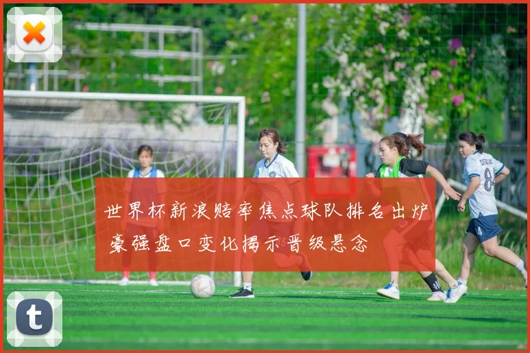 世界杯新浪赔率焦点球队排名出炉 豪强盘口变化揭示晋级悬念