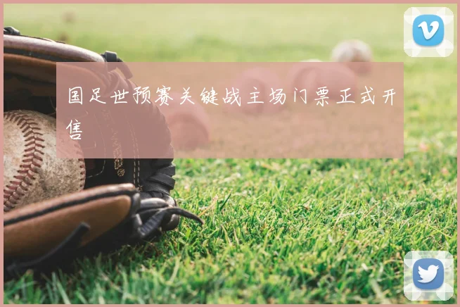 国足世预赛关键战主场门票正式开售