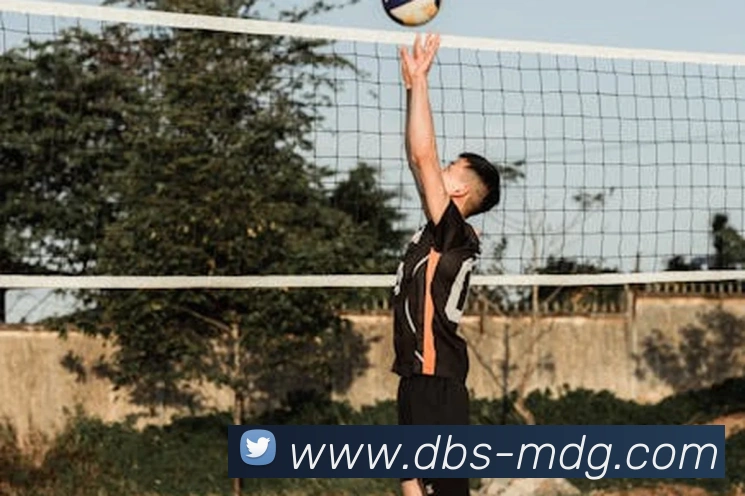 抓饭体育官方网站平台生态图